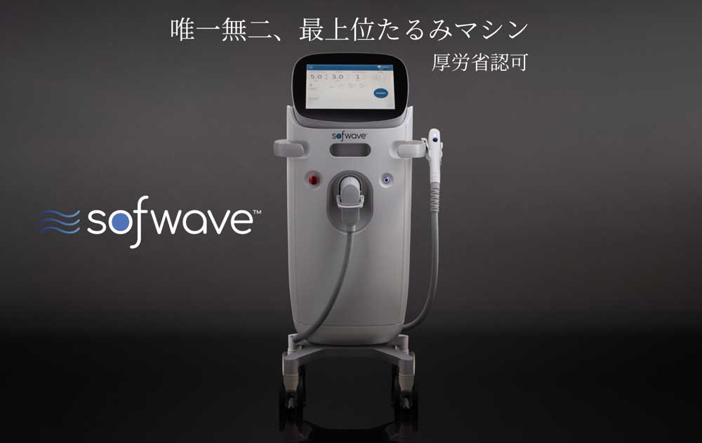ソフウェーブ01