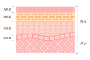 第1章 リジュランが痛いと言われる原因