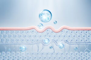 第2章 なぜ「間隔」が重要なのか？リジュランの効果が出る仕組み